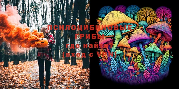 ешки Абаза